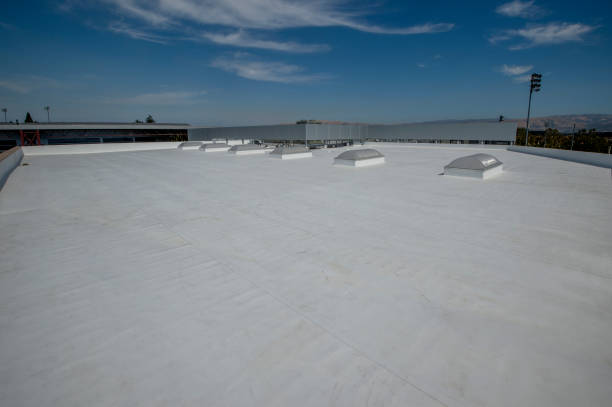 Best Roof Moss and Algae Removal  in Cutler, CA