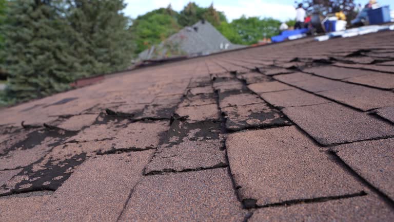 Best Asphalt Shingle Roofing  in Cutler, CA
